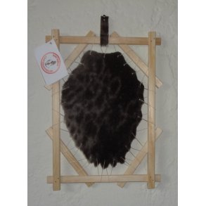 S�lskind i ramme, p� gr�nlandsk Innersik