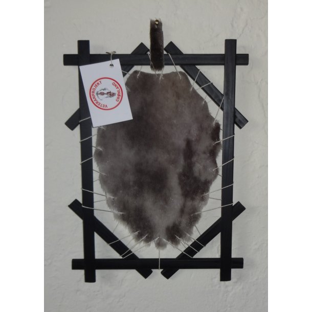 Slskind i ramme, p grnlandsk Innersik